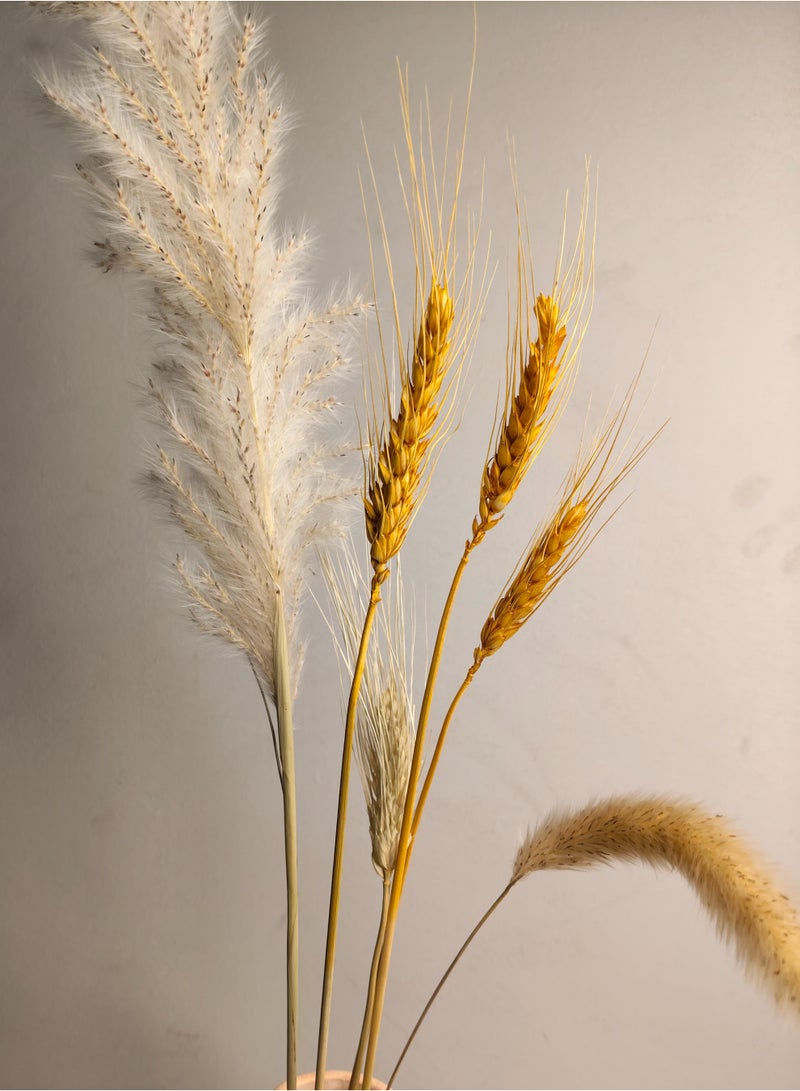 كلوك مزهرية اورا التراكوتا (تشمل نبات مجفف) - Image 4